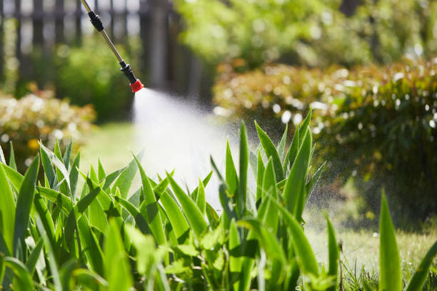 24/7 Emergency Fumigation Services experts in Minneota, MN